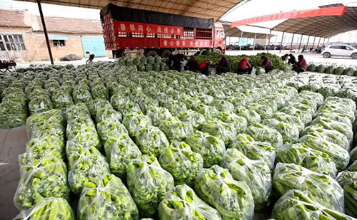 我是湖南長沙蔬菜批發市場，買多少錢的農藥殘留檢測儀合適？